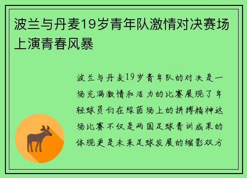 波兰与丹麦19岁青年队激情对决赛场上演青春风暴
