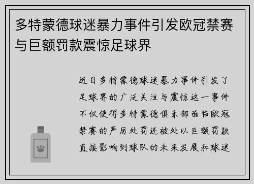 多特蒙德球迷暴力事件引发欧冠禁赛与巨额罚款震惊足球界