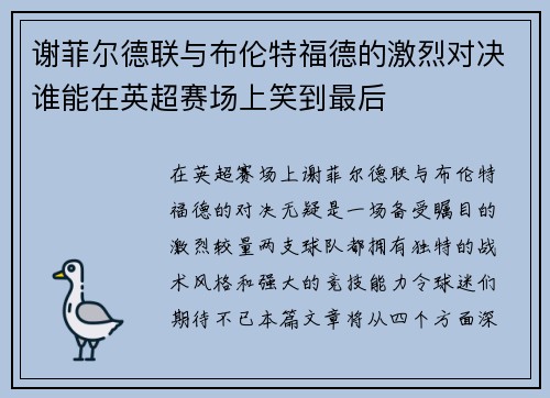 谢菲尔德联与布伦特福德的激烈对决谁能在英超赛场上笑到最后
