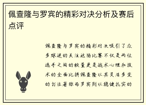 佩查隆与罗宾的精彩对决分析及赛后点评