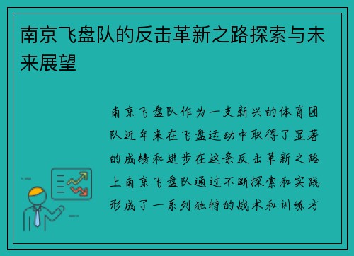 南京飞盘队的反击革新之路探索与未来展望