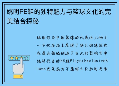 姚明PE鞋的独特魅力与篮球文化的完美结合探秘